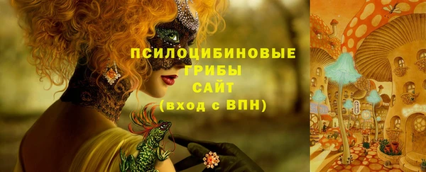 ALPHA PVP Нягань